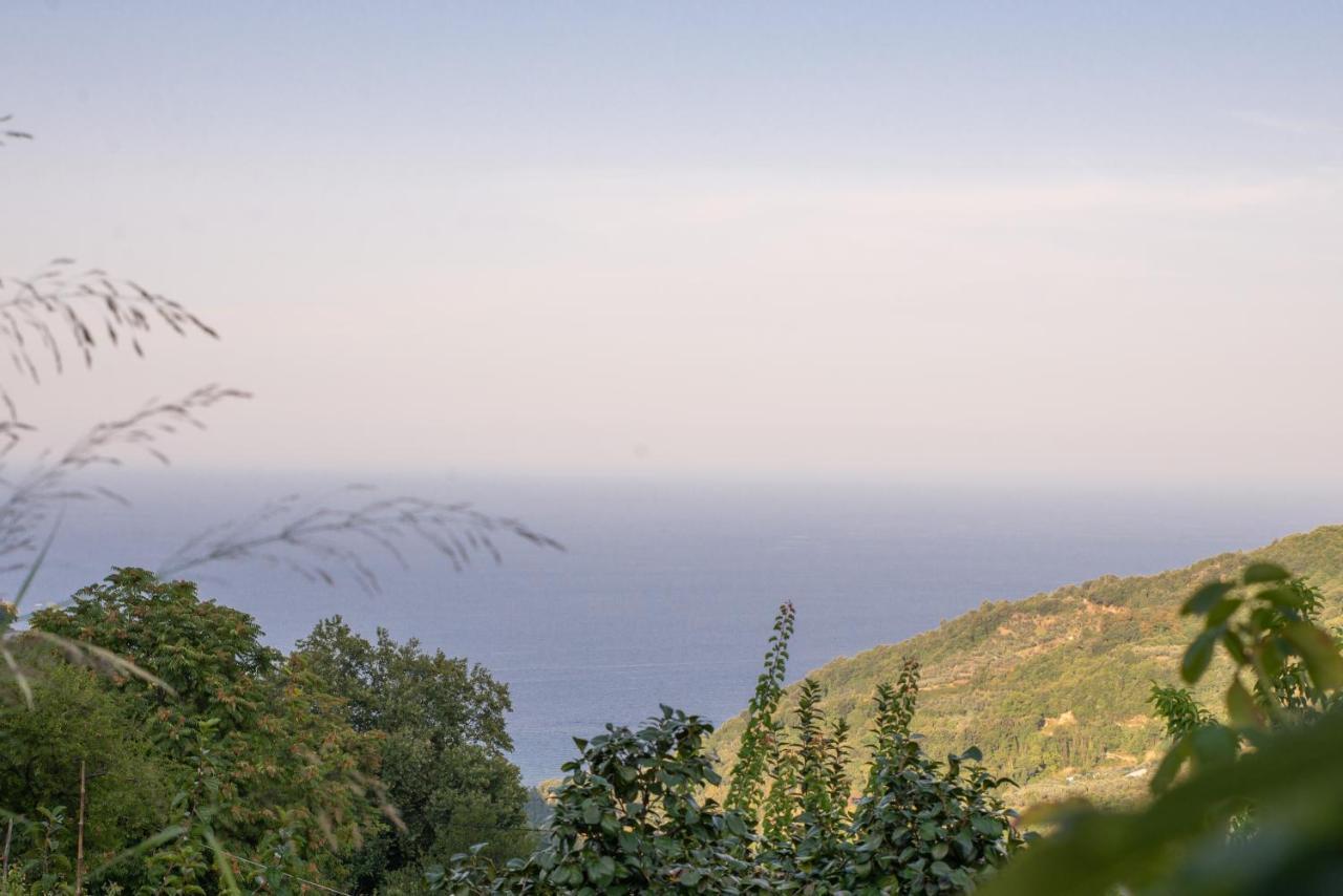 Zoes House Βίλα Μακρυράχη Εξωτερικό φωτογραφία